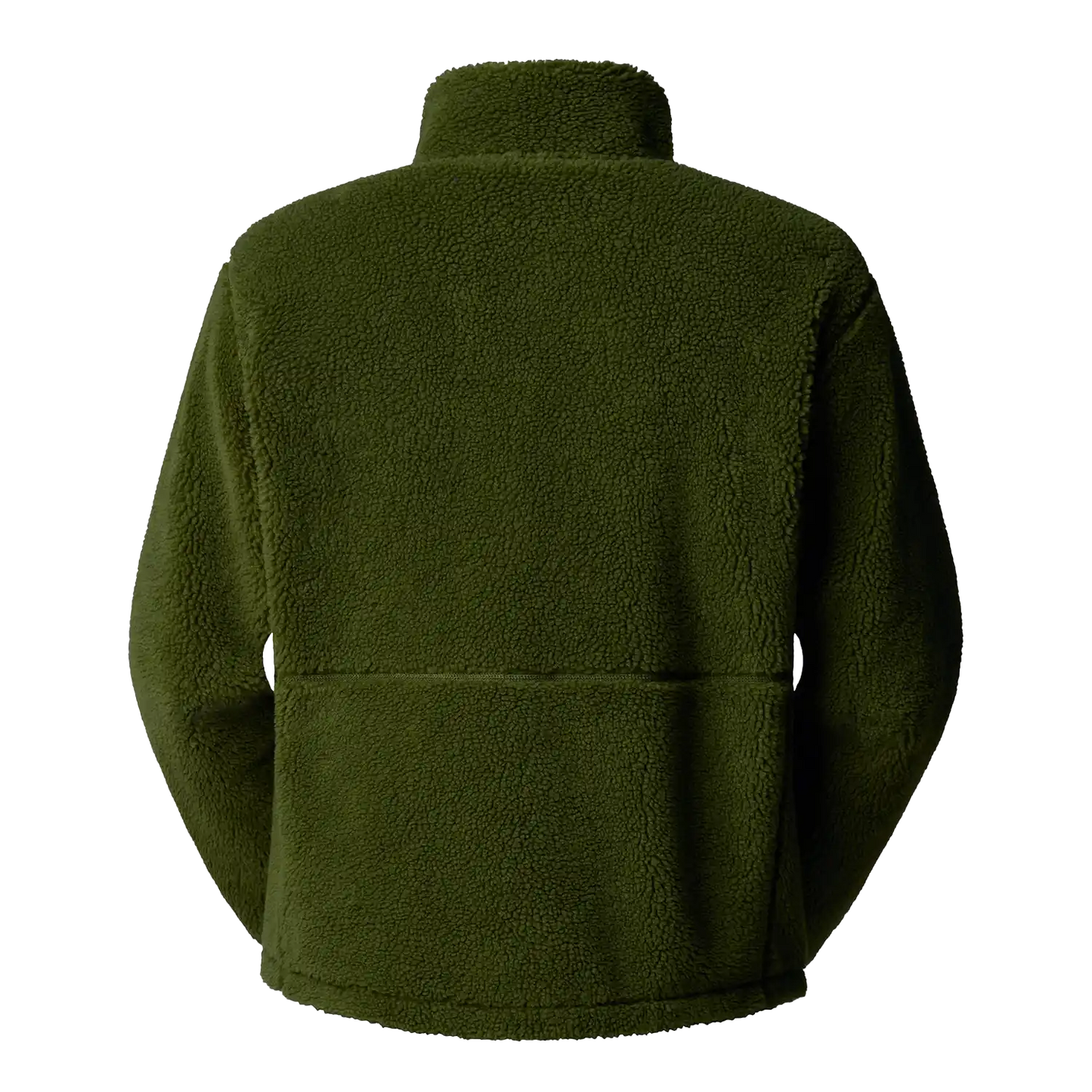 The North Face Extreme Pile Full-Zip Fleece