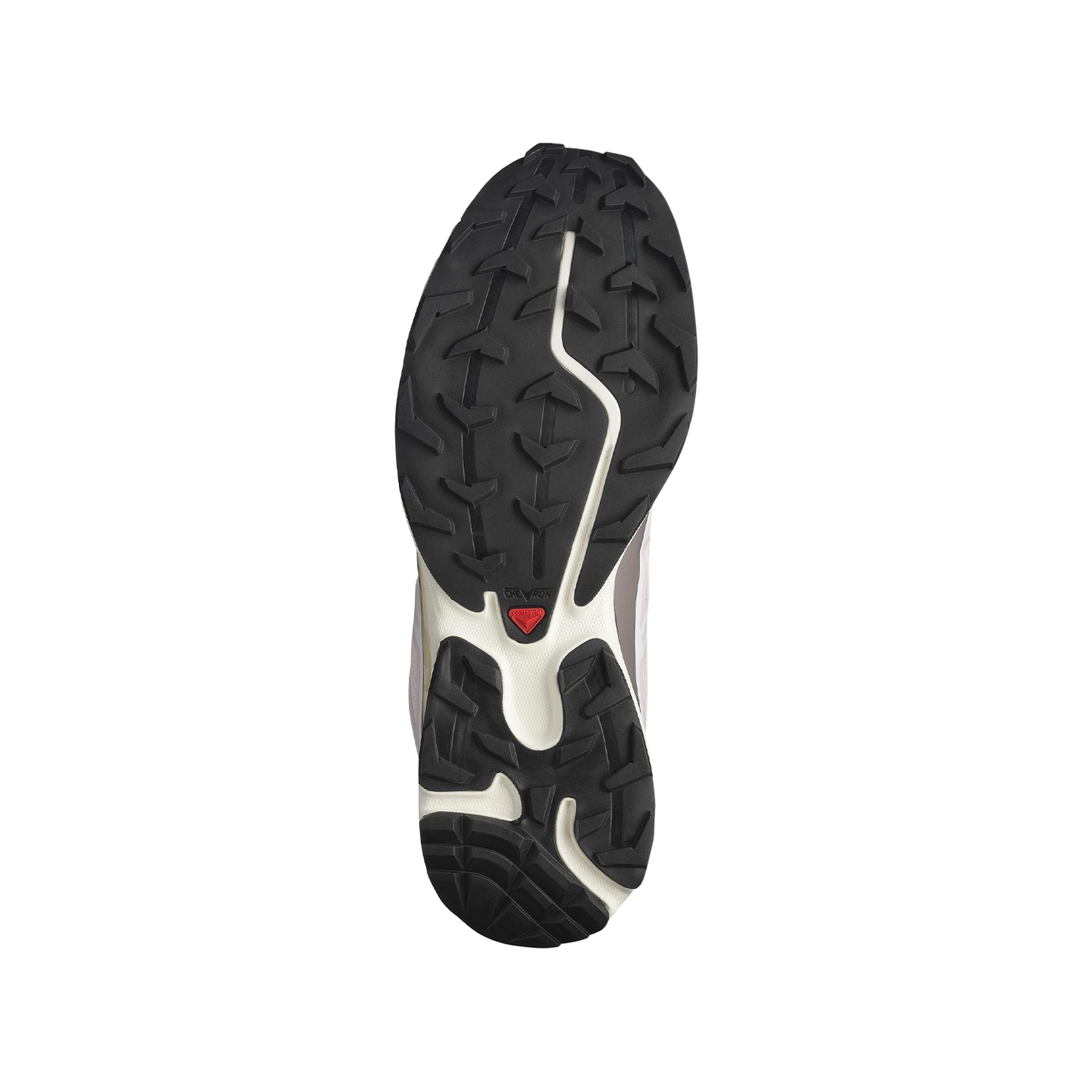 Salomon XT-6