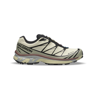 Salomon XT-6 GTX