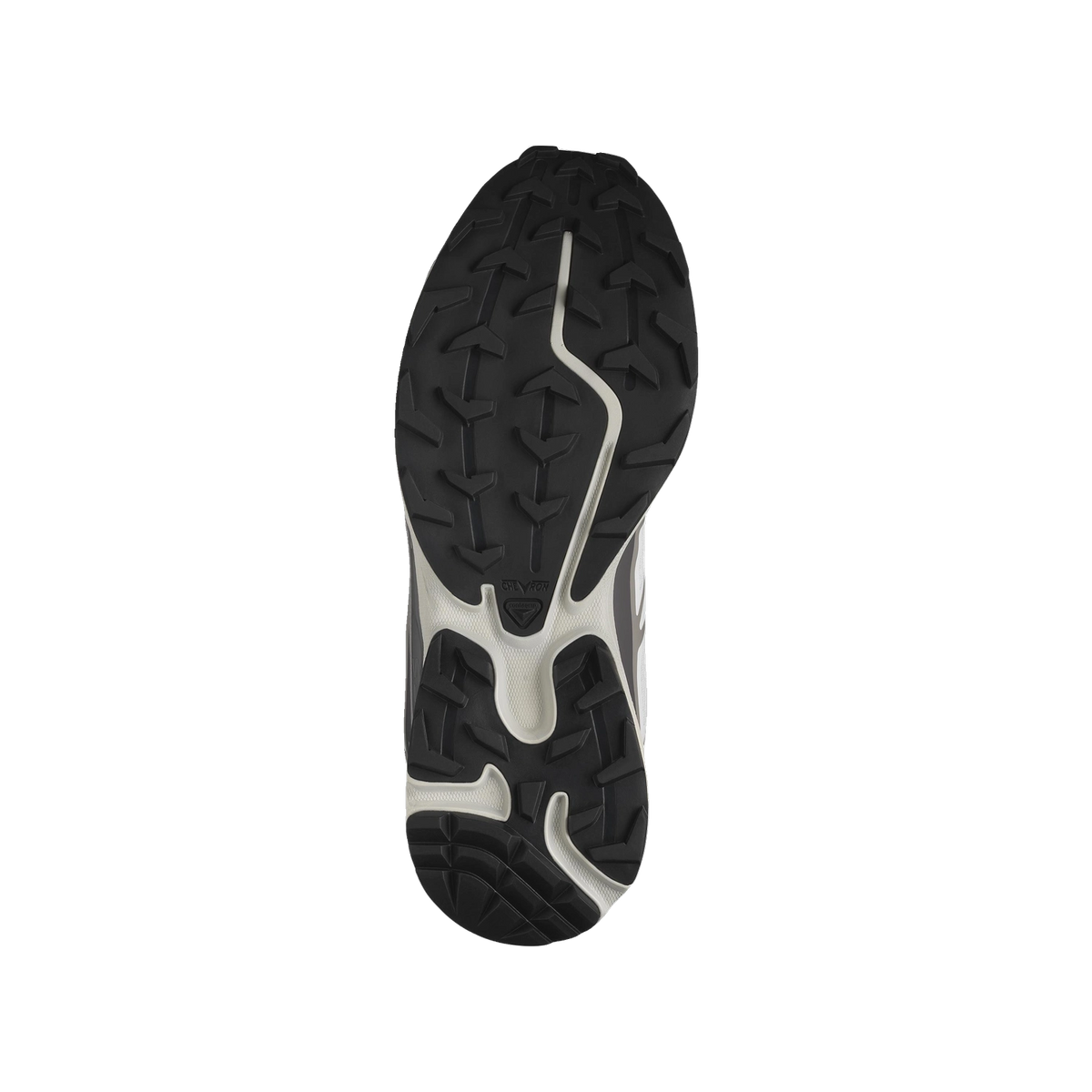 Salomon XT-6