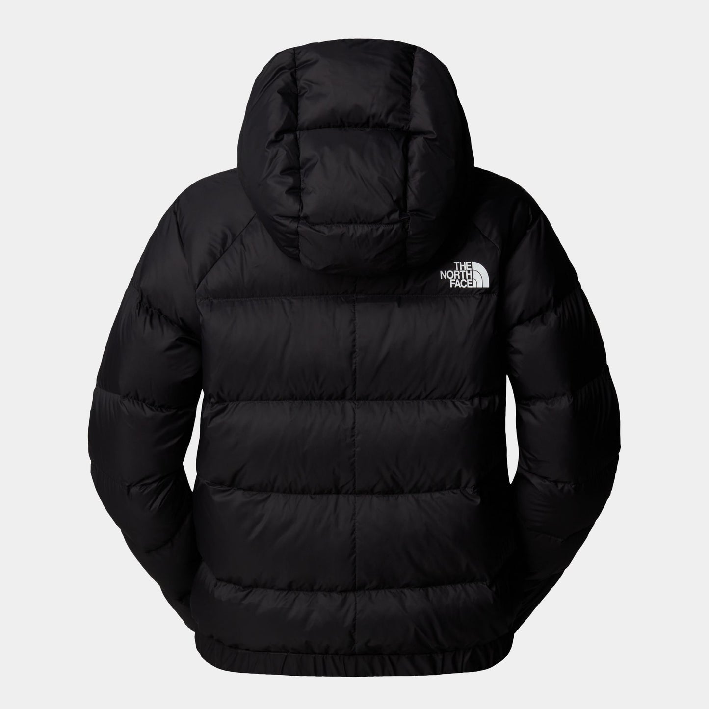 The North Face W Hyalite Down Hoodie