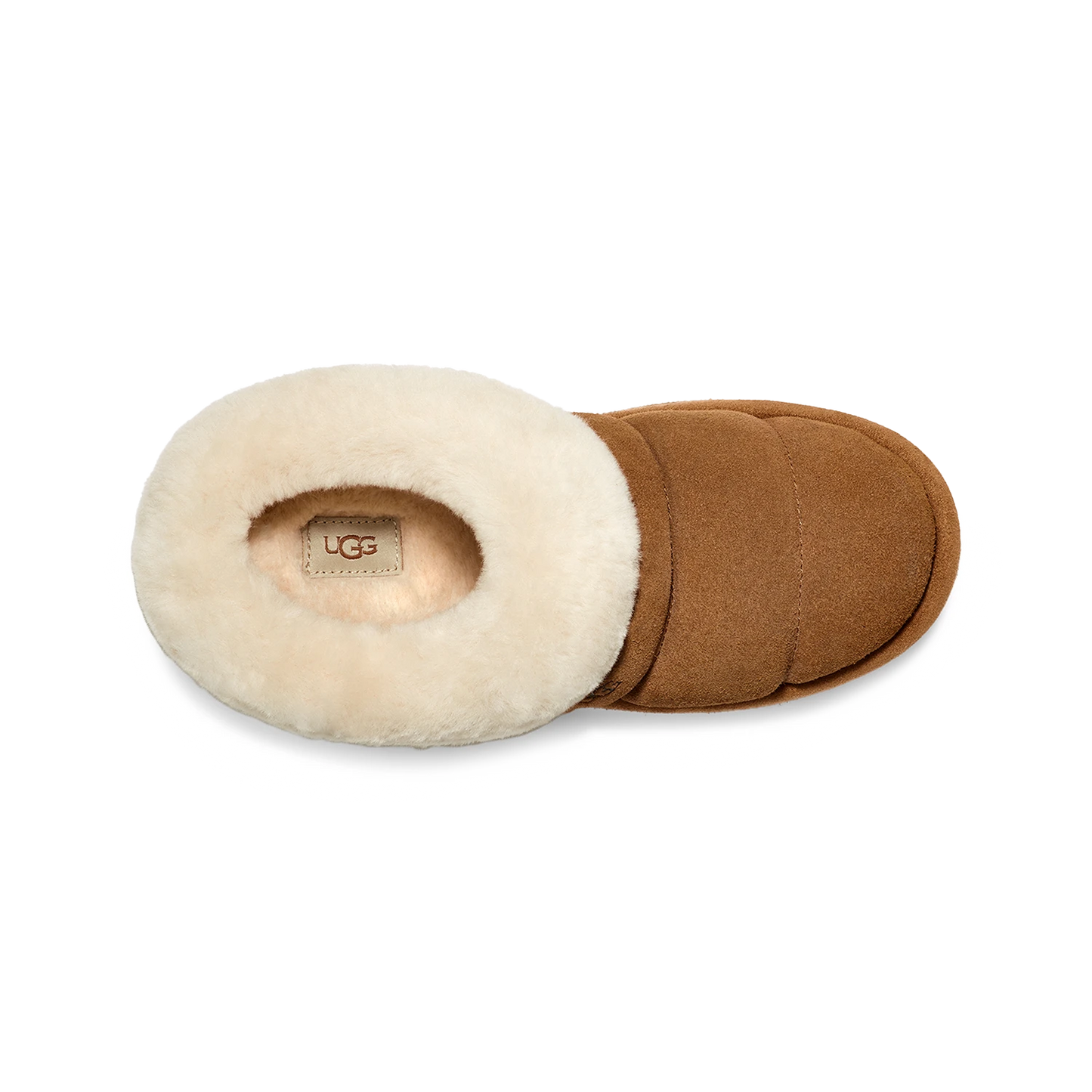 UGG Tazzlita W