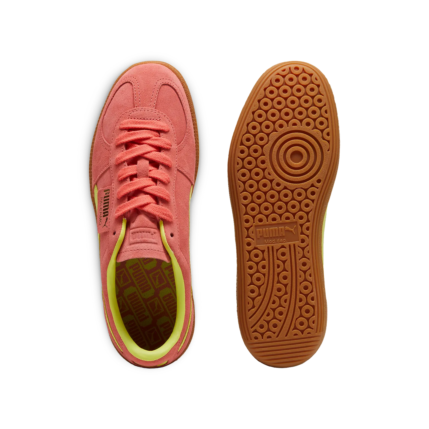 Puma Palermo
