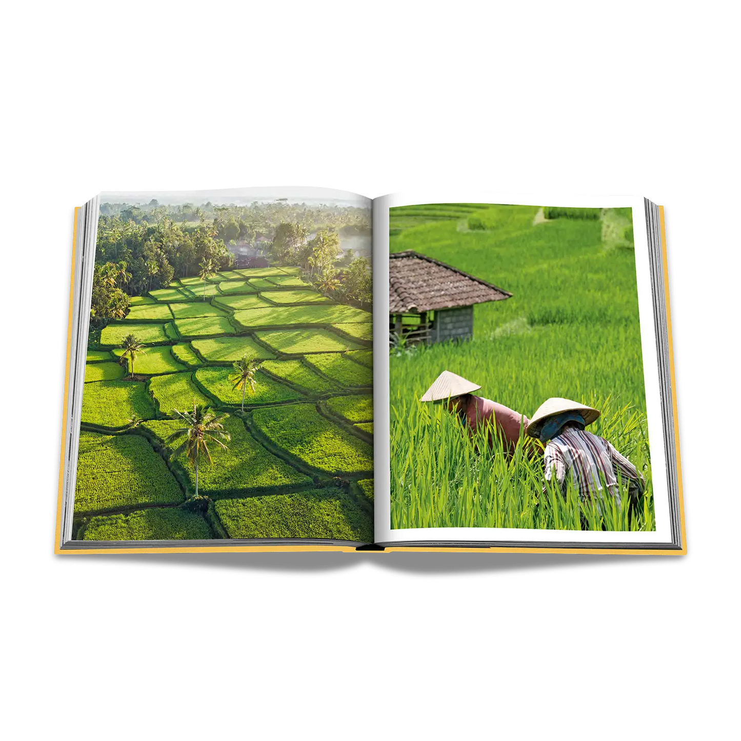 Assouline Bali Mystique