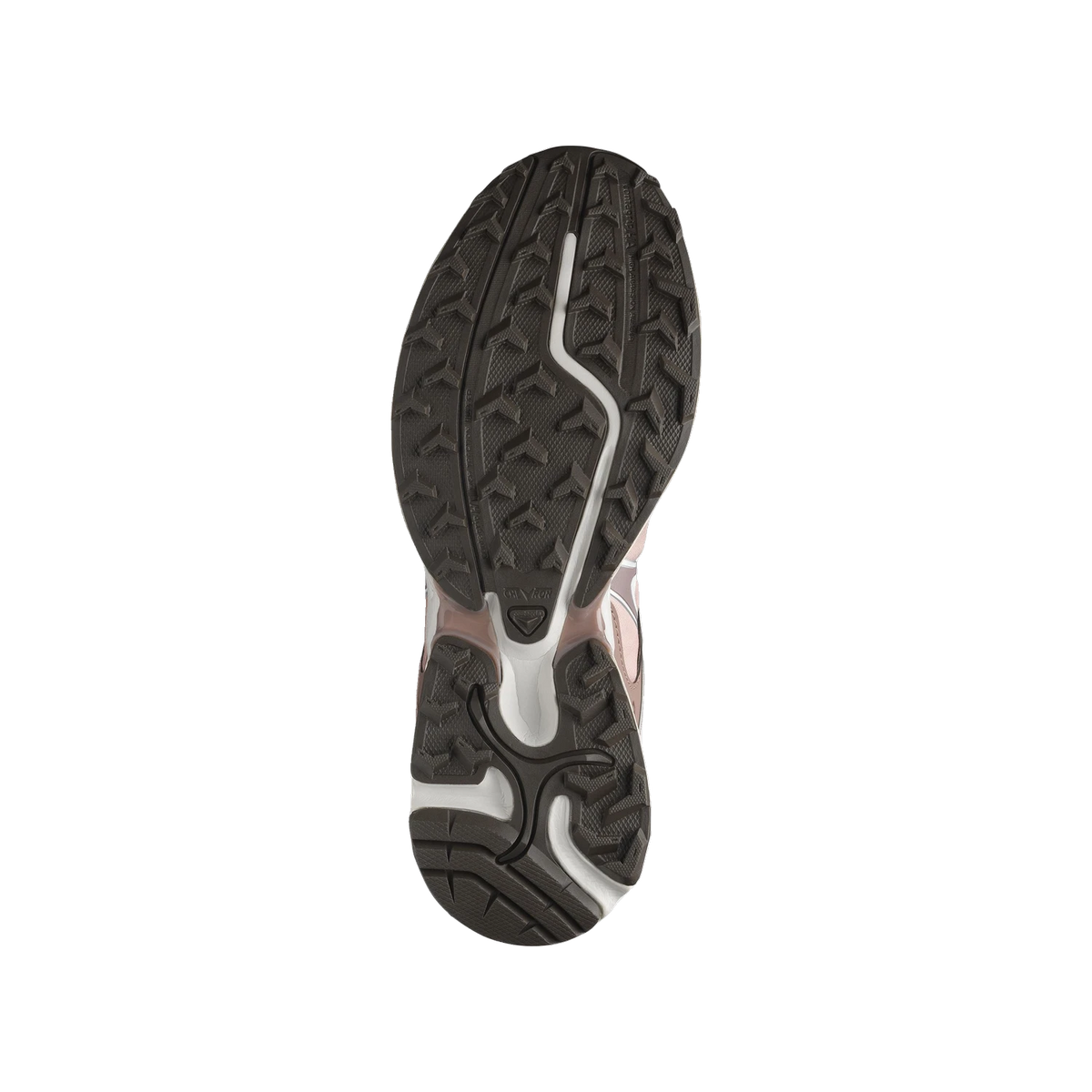 Salomon XT-Whisper GTX