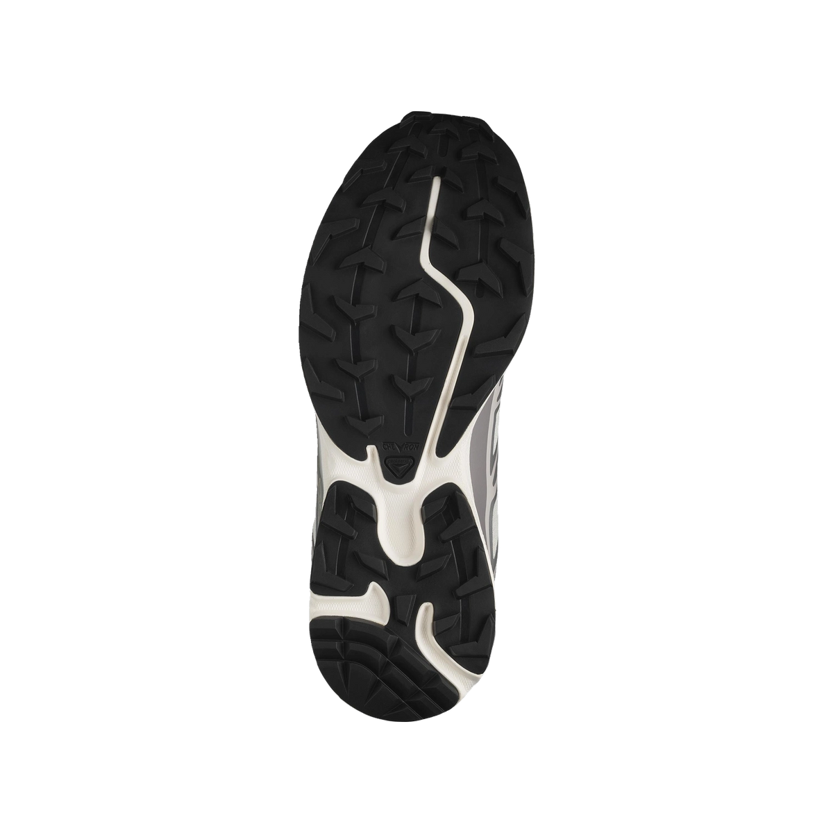 Salomon XT-6