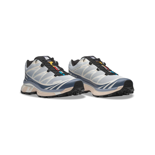 Salomon XT-6