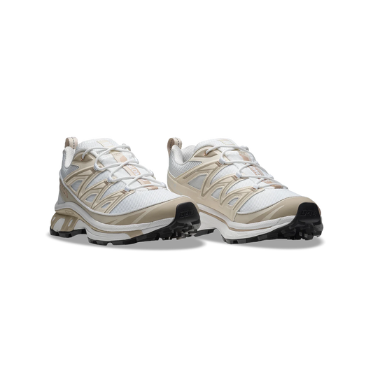 Salomon XT-6 Expanse