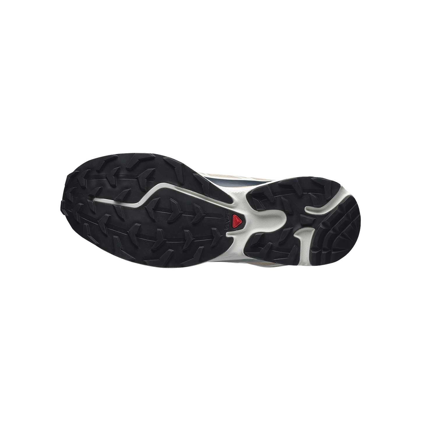 Salomon XT-6