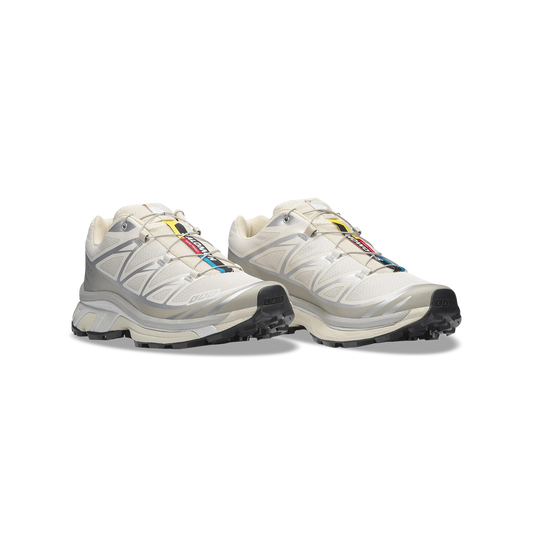 Salomon XT-6