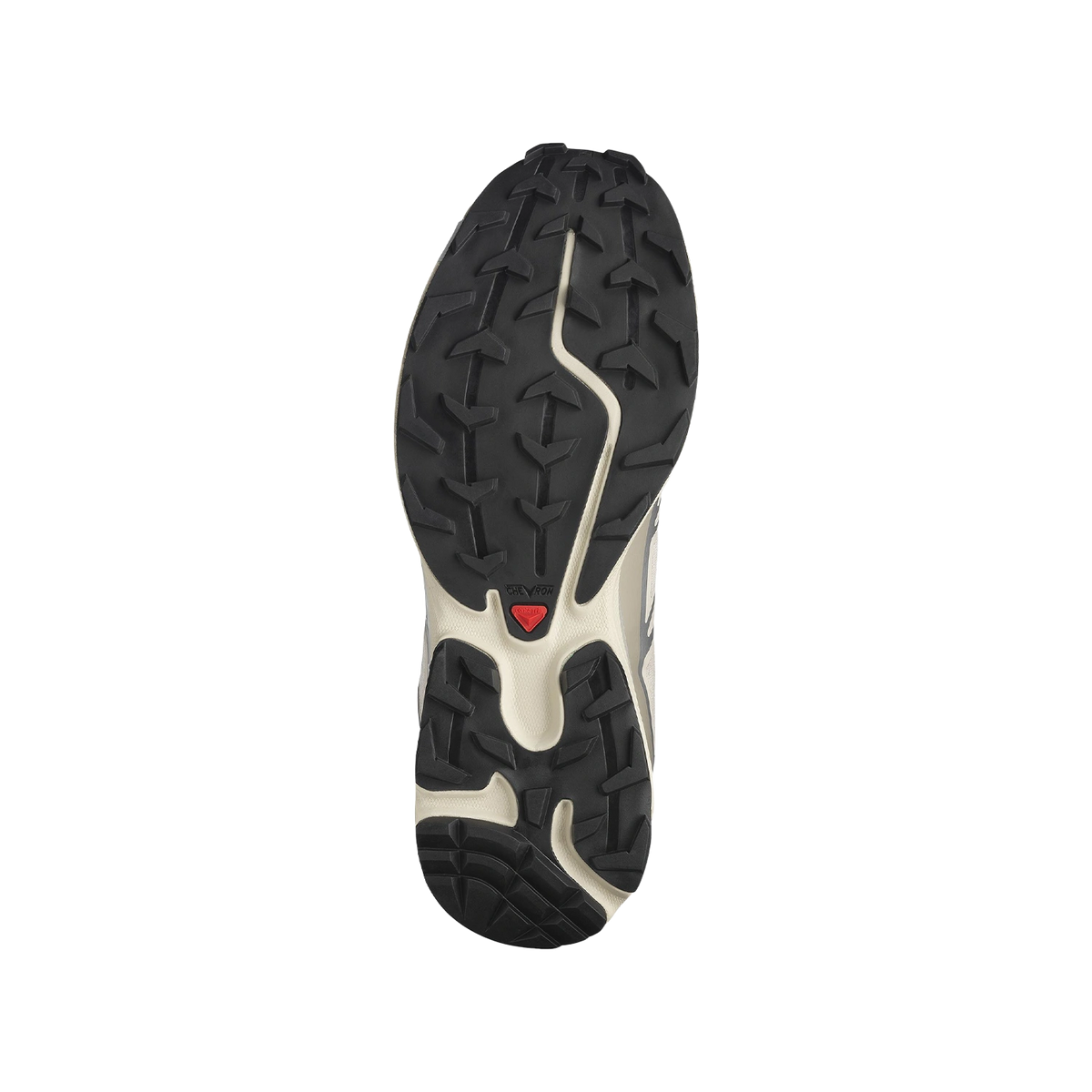 Salomon XT-6