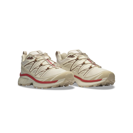 Salomon XT-6 Expanse