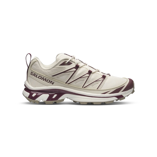Salomon XT-6 Expanse