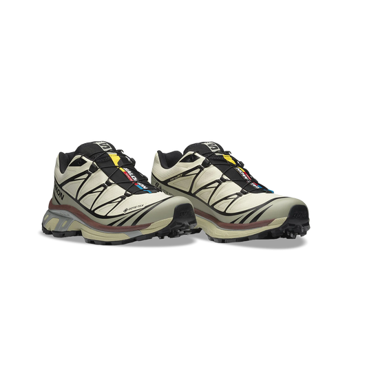 Salomon XT-6 GTX