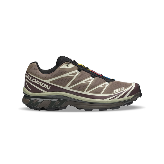 Salomon XT-6