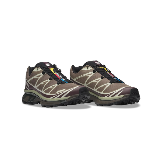 Salomon XT-6