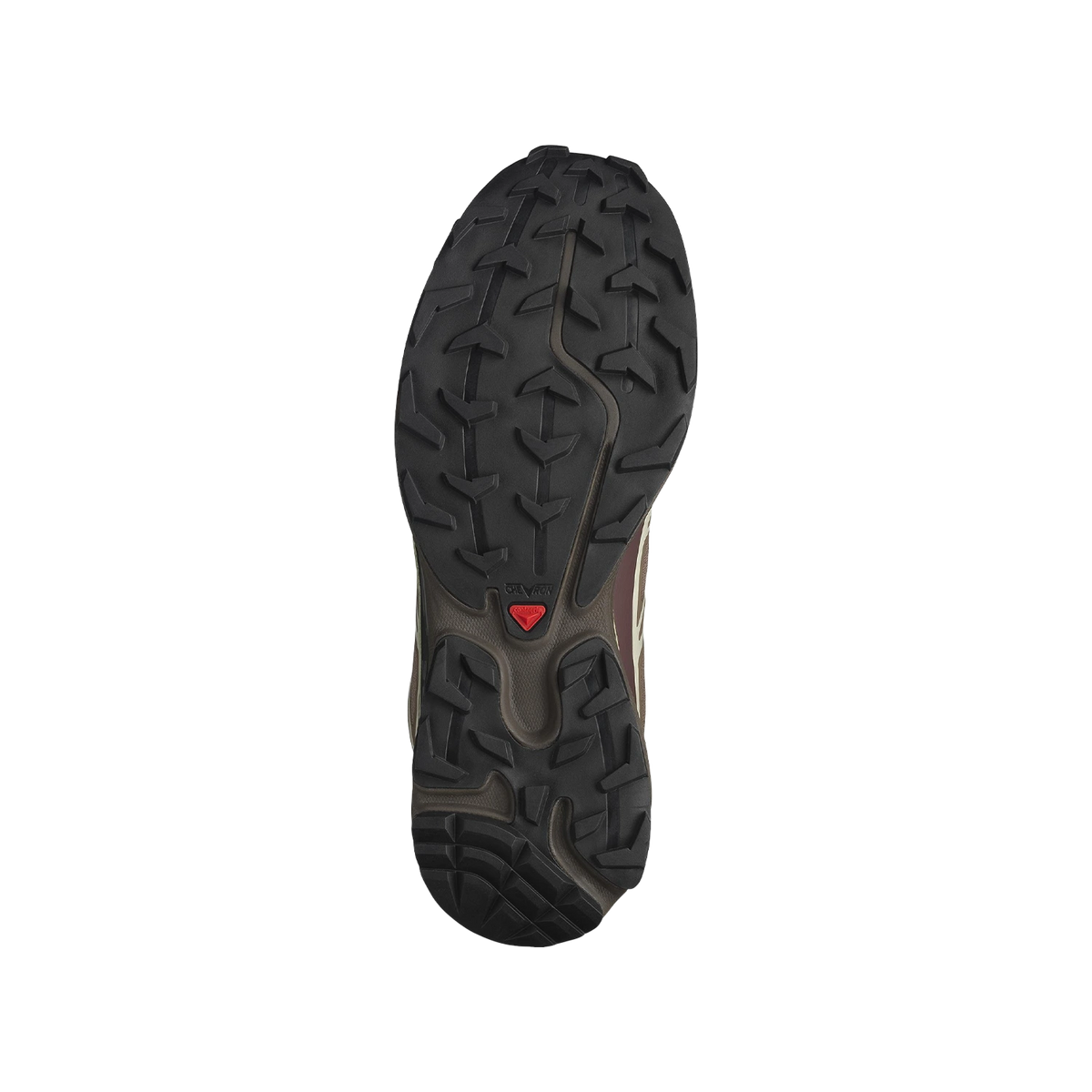 Salomon XT-6