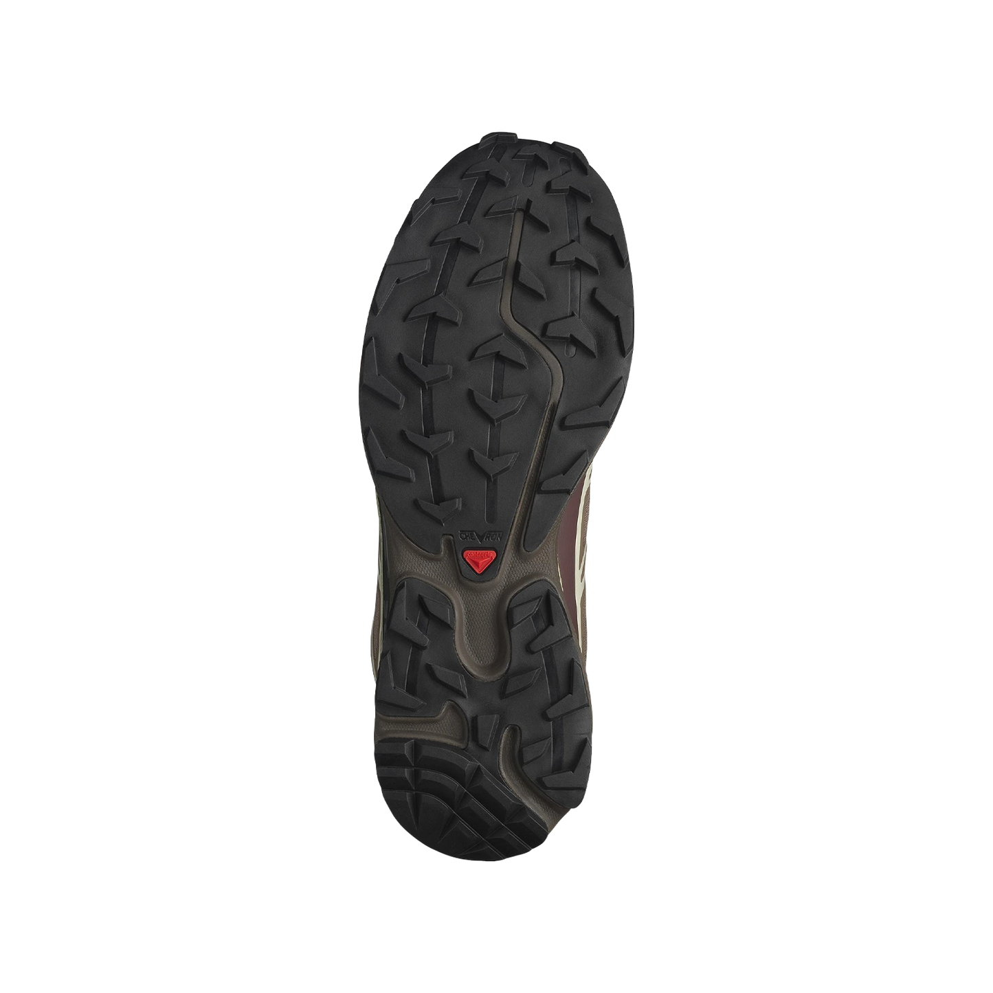 Salomon XT-6
