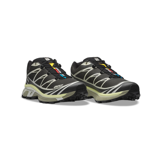 Salomon XT-6