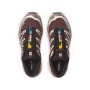 Salomon XT-6 GTX