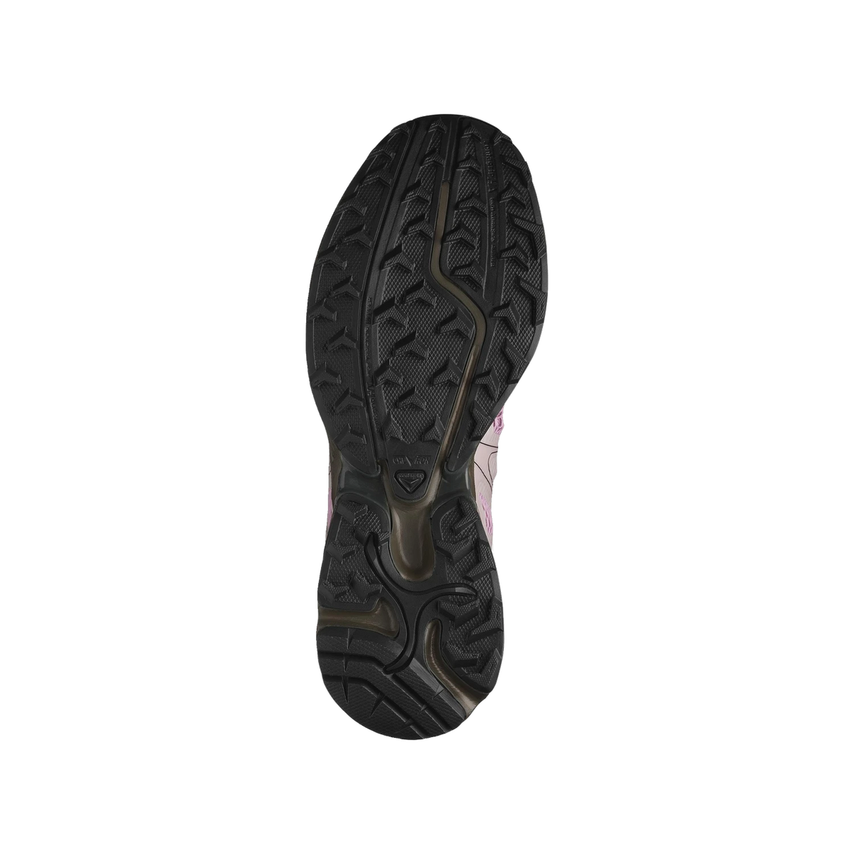 Salomon XT-Whisper Void