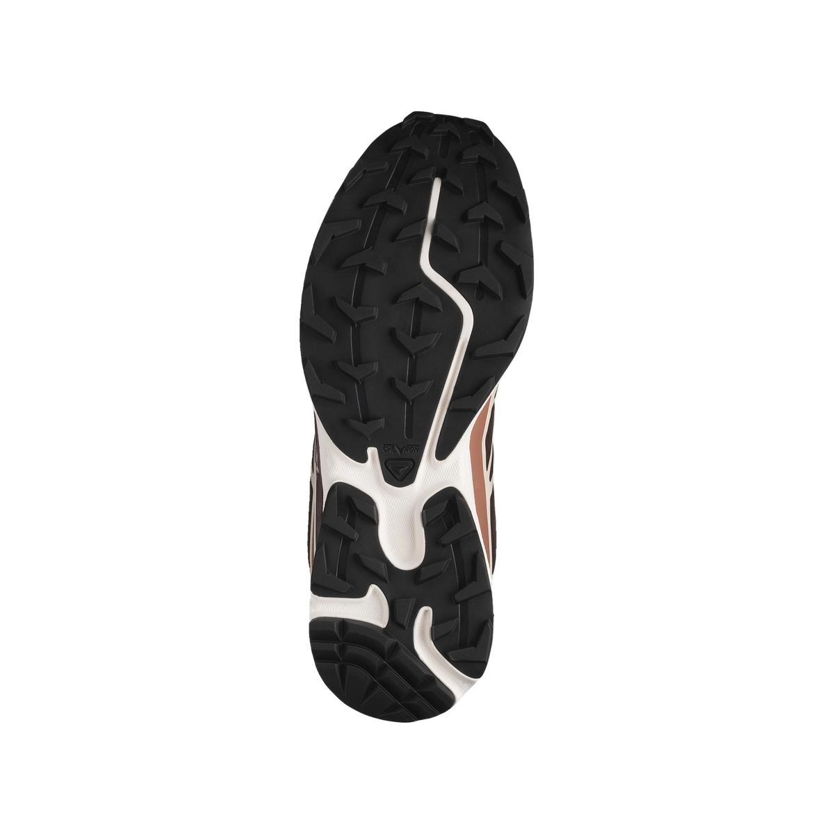 Salomon XT-6