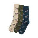 Barbour Pointer Dog Socks Gift Box