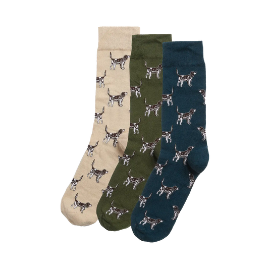 Barbour Pointer Dog Socks Gift Box