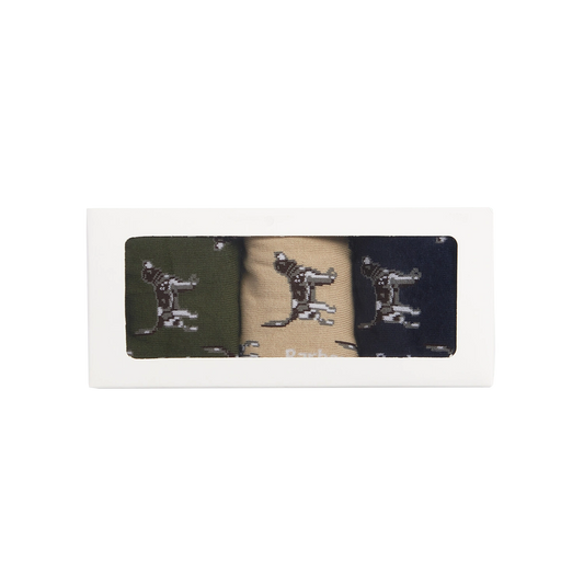 Barbour Pointer Dog Socks Gift Box