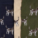 Barbour Pointer Dog Socks Gift Box