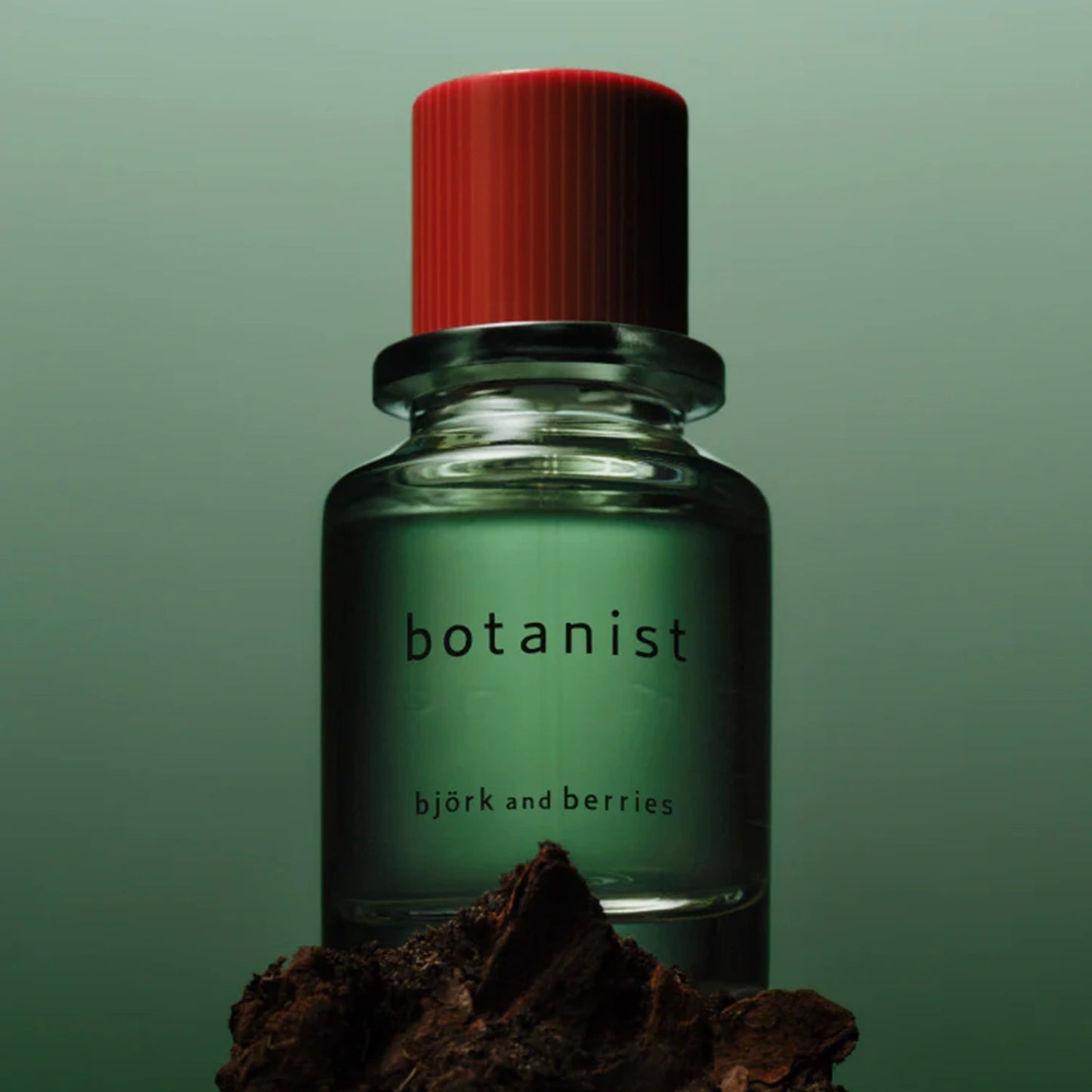 Björk and Berries Botanist