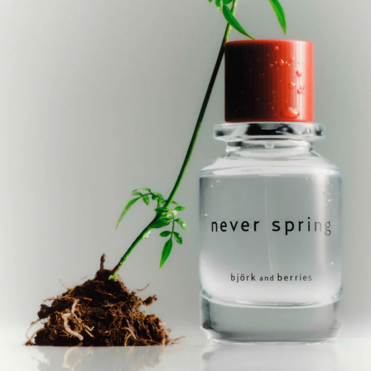 Björk and Berries Never Spring Eau de Parfum